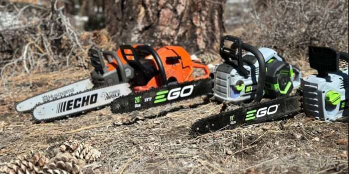 10 Best Chainsaws 2025