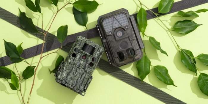 10 Best Trail Cameras 2025
