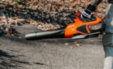 Top 10 Best Leaf Blowers 2025